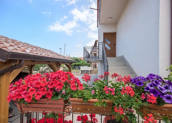 Luti Appartement Pula